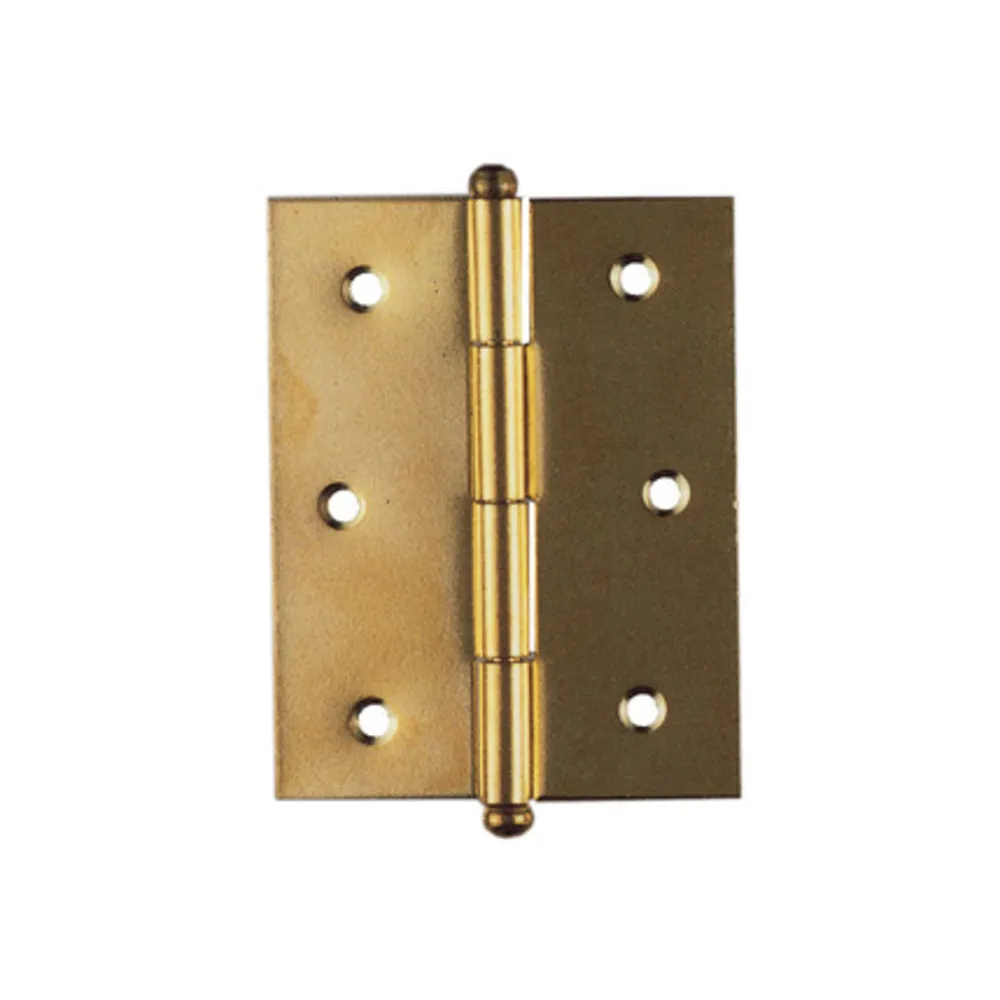 BL CERNIERA ACCIAIO OTTONATO 40X50 MM 2 PZ (6