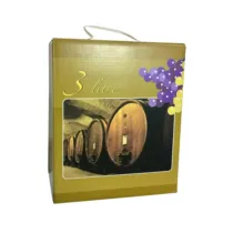 SCATOLA P/SACCA BAG 3 L COLORATO E MANICO (15