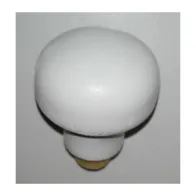 R KIT BUFFET 3A+3C MASSELLO -(POMELLINO)