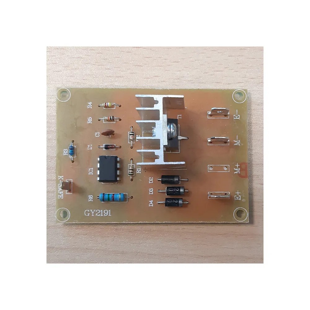 R SCHEDA ELETTRONICA X ELETTROSEGA A BATTERIA 20V 4
