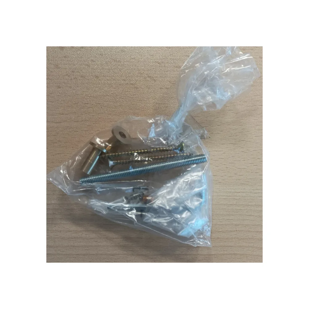 R ACCESSORI FRASCIO MANIGL EASY INOX BRASS  201
