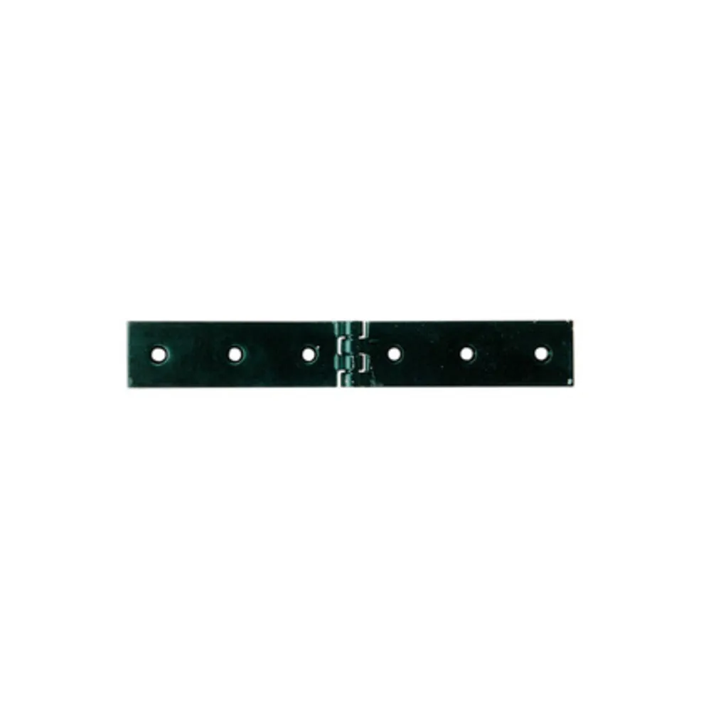 BL CERNIERA A LIBRETTO 160 X 30 MM DA 2 PZ (6