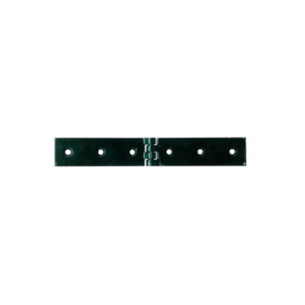 BL CERNIERA A LIBRETTO 200 X 30 MM DA 2 PZ (6