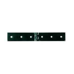 BL CERNIERA A LIBRETTO 200 X 30 MM DA 2 PZ (6