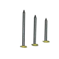 SC CHIODI P/QUADRI TESTA RICOP OTT 2X20 MM 100 PZ* (10