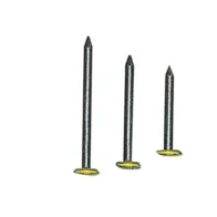 SC CHIODI P/QUADRI TESTA RICOP OTT 2X25 MM 100 PZ* (10