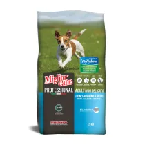 CIBO CANE MORANDO  1