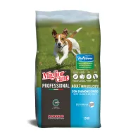 CIBO CANE MORANDO  1