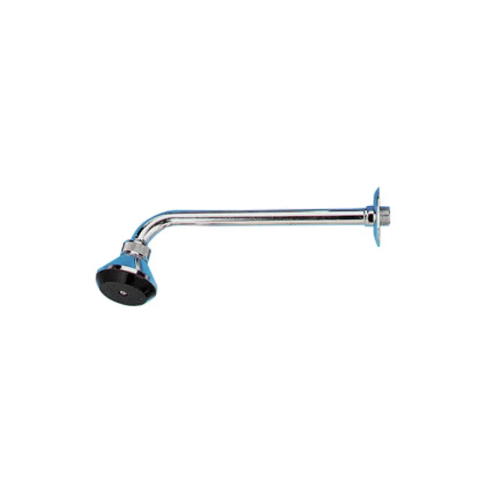 PL BRACCIO DOCCIA C/SOFFIONE 30 CM  0922 (6