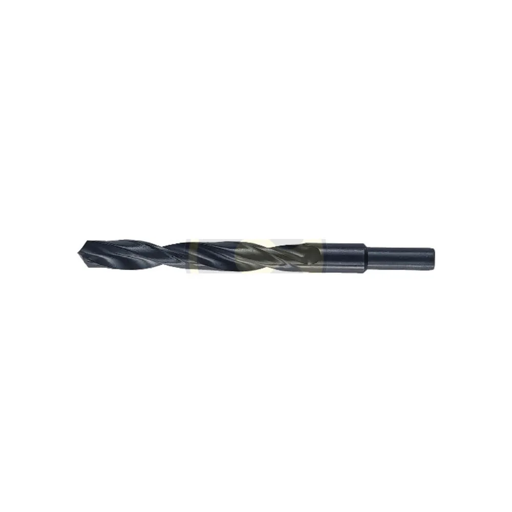 BL PUNTA HSS CODOLO 10 MM D 16 MM (6 BL PUNTA HSS CODOLO 10 MM D 16 MM (6