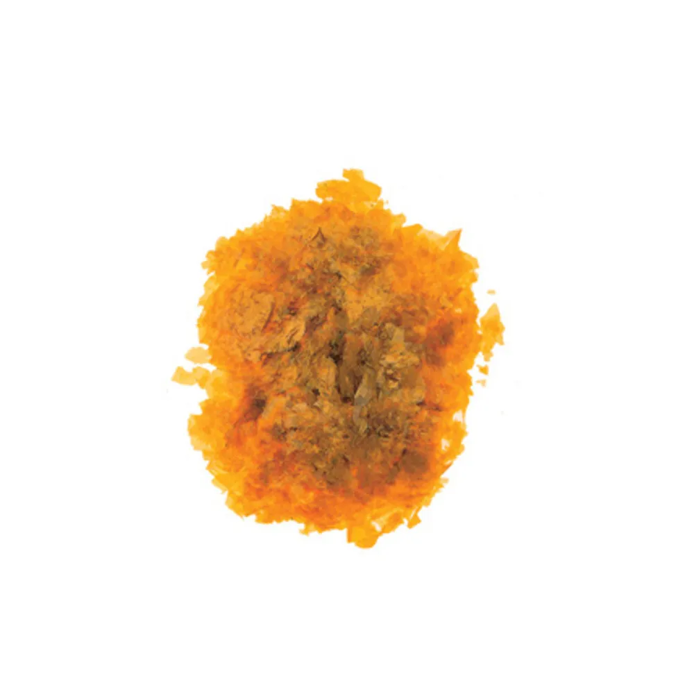 SC GOMMALACCA 40 G (5 SC GOMMALACCA 40 G (5