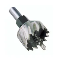 FRESA A TAZZA HSS ATTACCO 10 MM D 50 MM