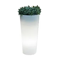 VASO SOLARE FICUS LED D 29XH59 CM RGB C/TELECOM