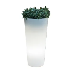 VASO SOLARE FICUS LED D 29XH59 CM RGB C/TELECOM