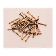 SC CHIODI TESTA BOMBATA OTTONE 1