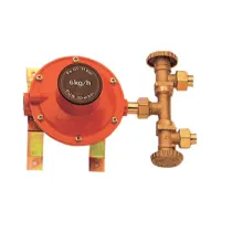 PL CENTRALINA P/GAS A 2 RUBIN 4 KG/H MIGNON (2