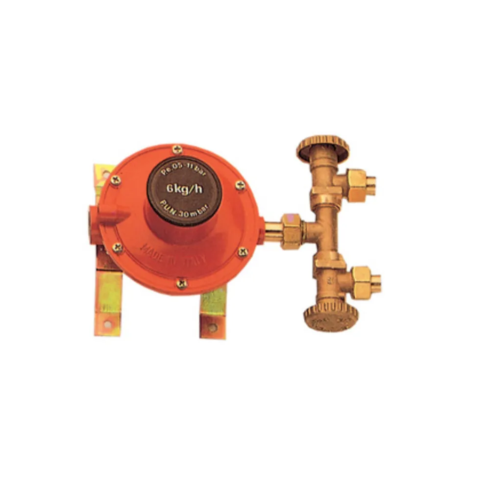 PL CENTRALINA P/GAS A 2 RUBIN 4 KG/H MIGNON (2