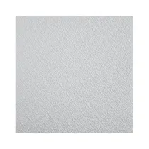 PANNELLO POLISTIROLO SOFFITTI TPDZ VIENNA 50X50 (18