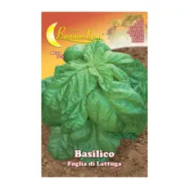 SEMI ORTO BASILICO FOGLIA LATTUGA (10