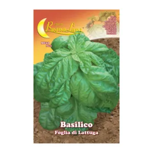 SEMI ORTO BASILICO FOGLIA LATTUGA (10