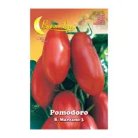 SEMI ORTO POMODORO S. MARZANO (10