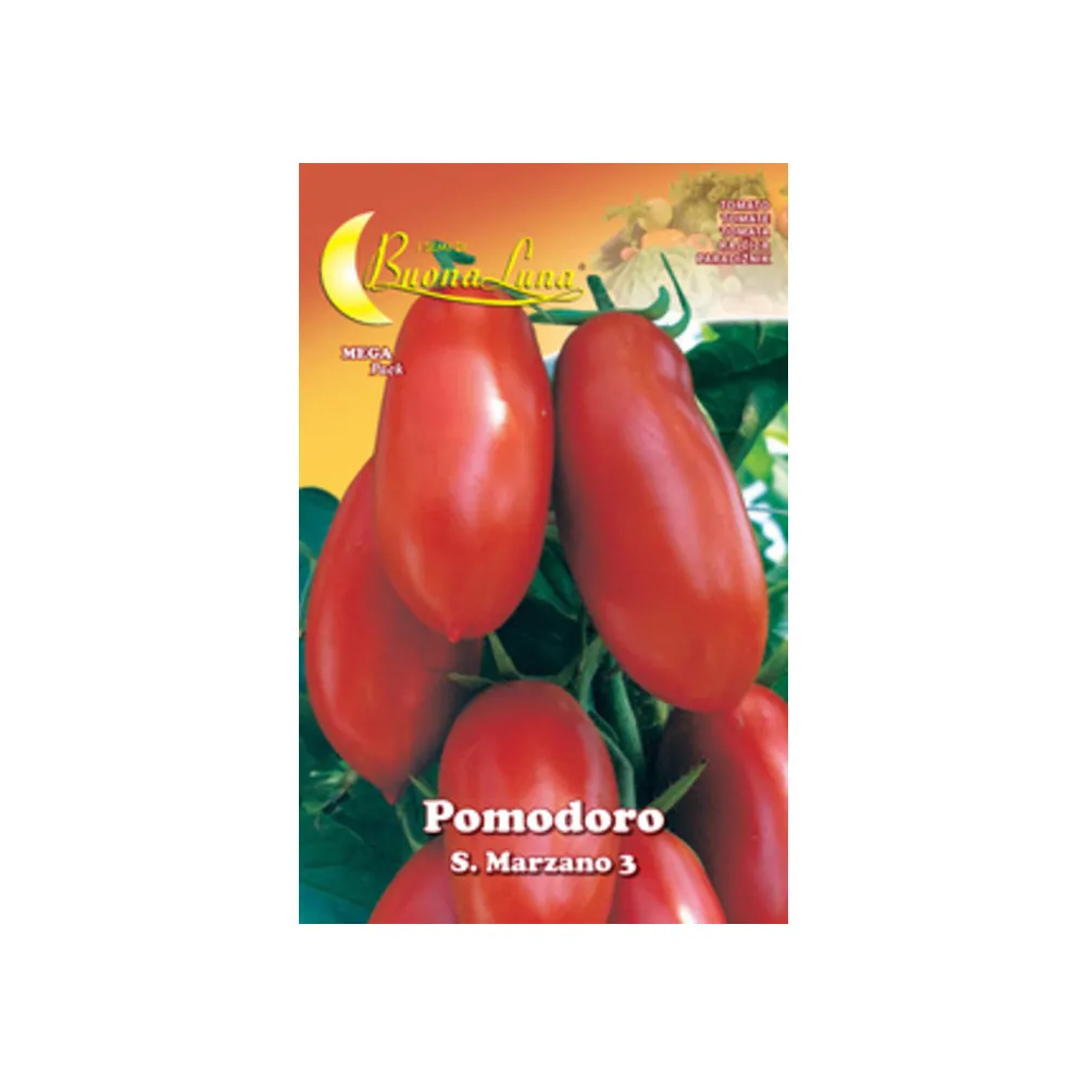 SEMI ORTO POMODORO S. MARZANO (10