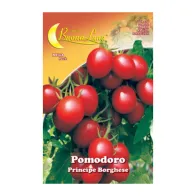 SEMI ORTO POMODORO CILIEGINO (10