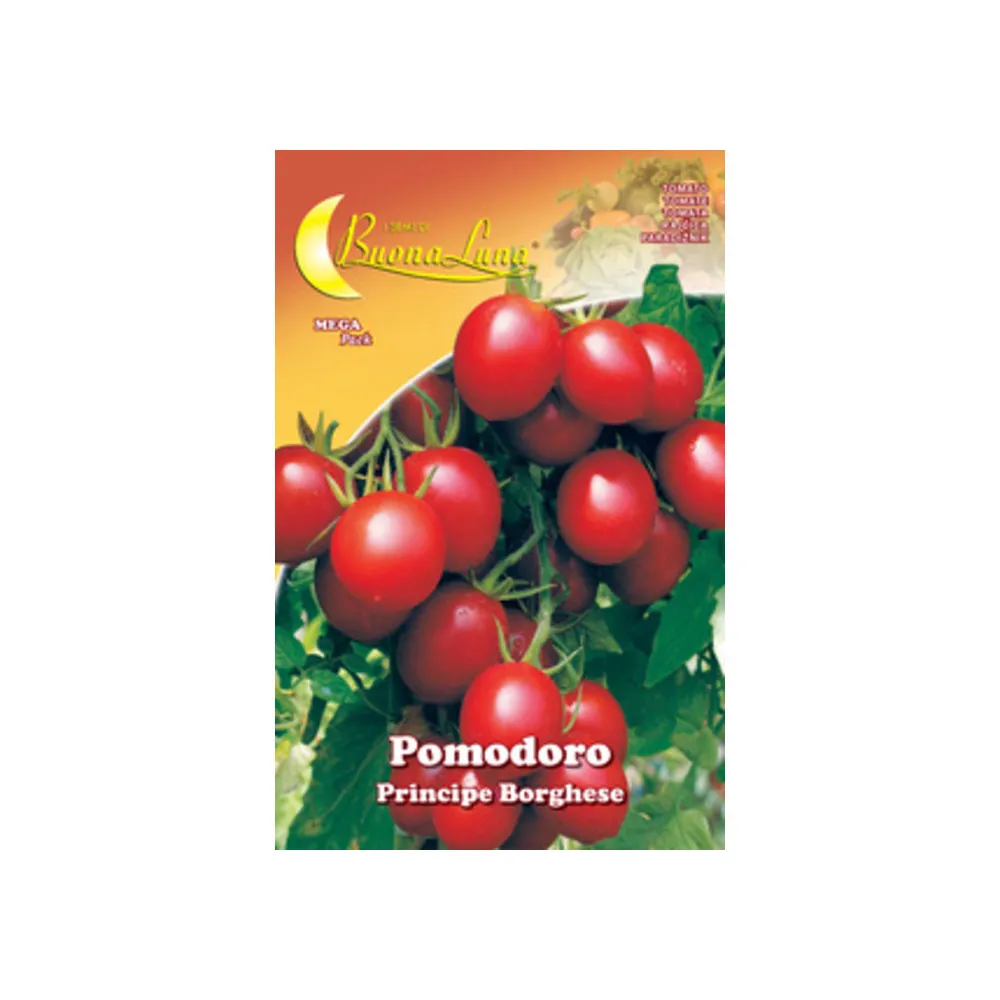 SEMI ORTO POMODORO CILIEGINO (10