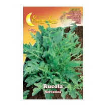SEMI ORTO RUCOLA SELVATICA (10