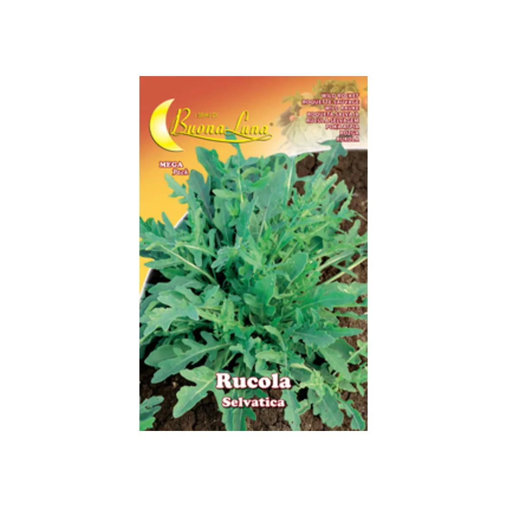 SEMI ORTO RUCOLA SELVATICA (10