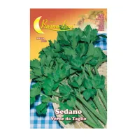 SEMI ORTO SEDANO VERDE DA TAGLIO (10