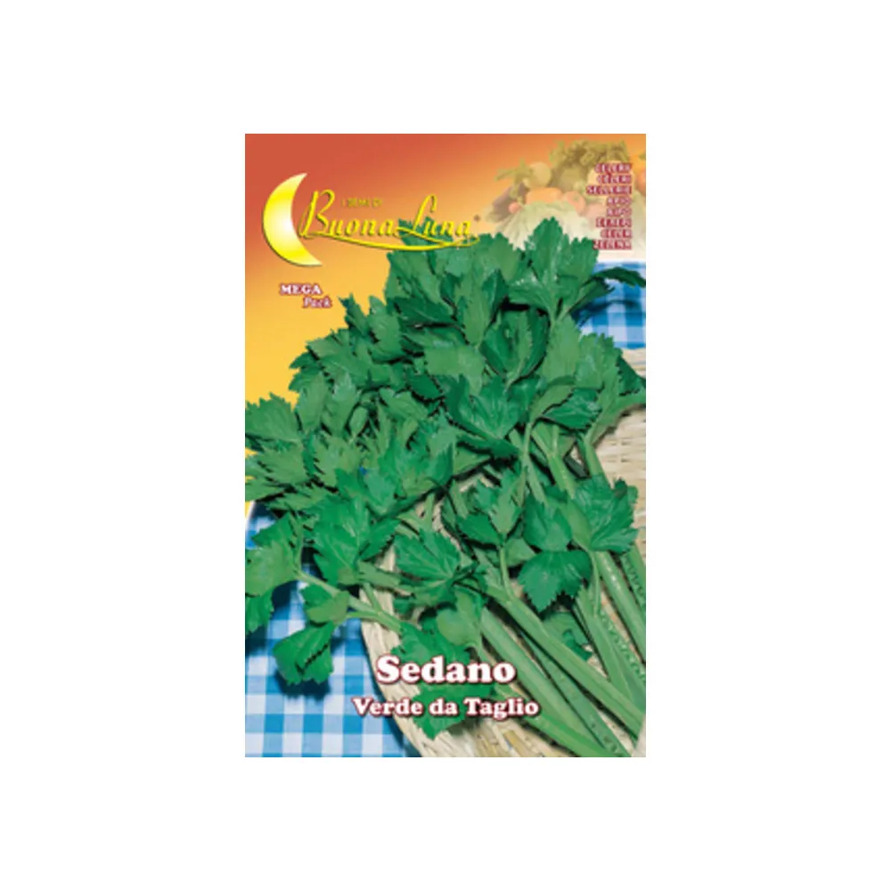 SEMI ORTO SEDANO VERDE DA TAGLIO (10