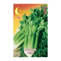 SEMI ORTO SEDANO DELNE (10