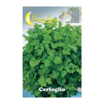 SEMI ORTO CERFOGLIO (10