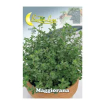 SEMI ORTO MAGGIORANA (10