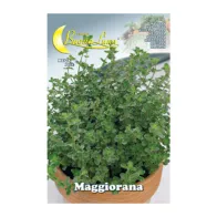SEMI ORTO MAGGIORANA (10