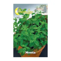 SEMI ORTO MENTA (10