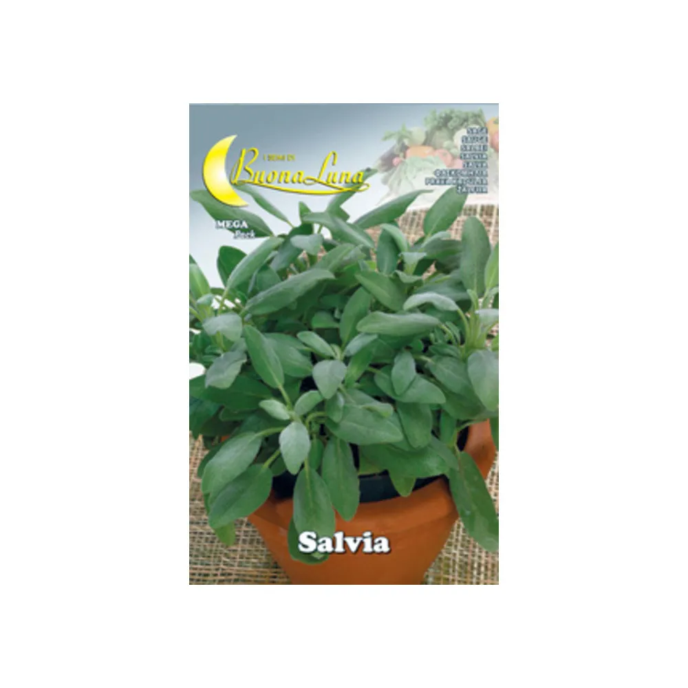 SEMI ORTO SALVIA (10