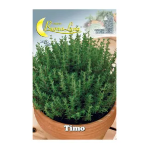 SEMI ORTO TIMO (10