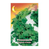 SEMI ORTO PREZZEMOLO GIGANTE (10