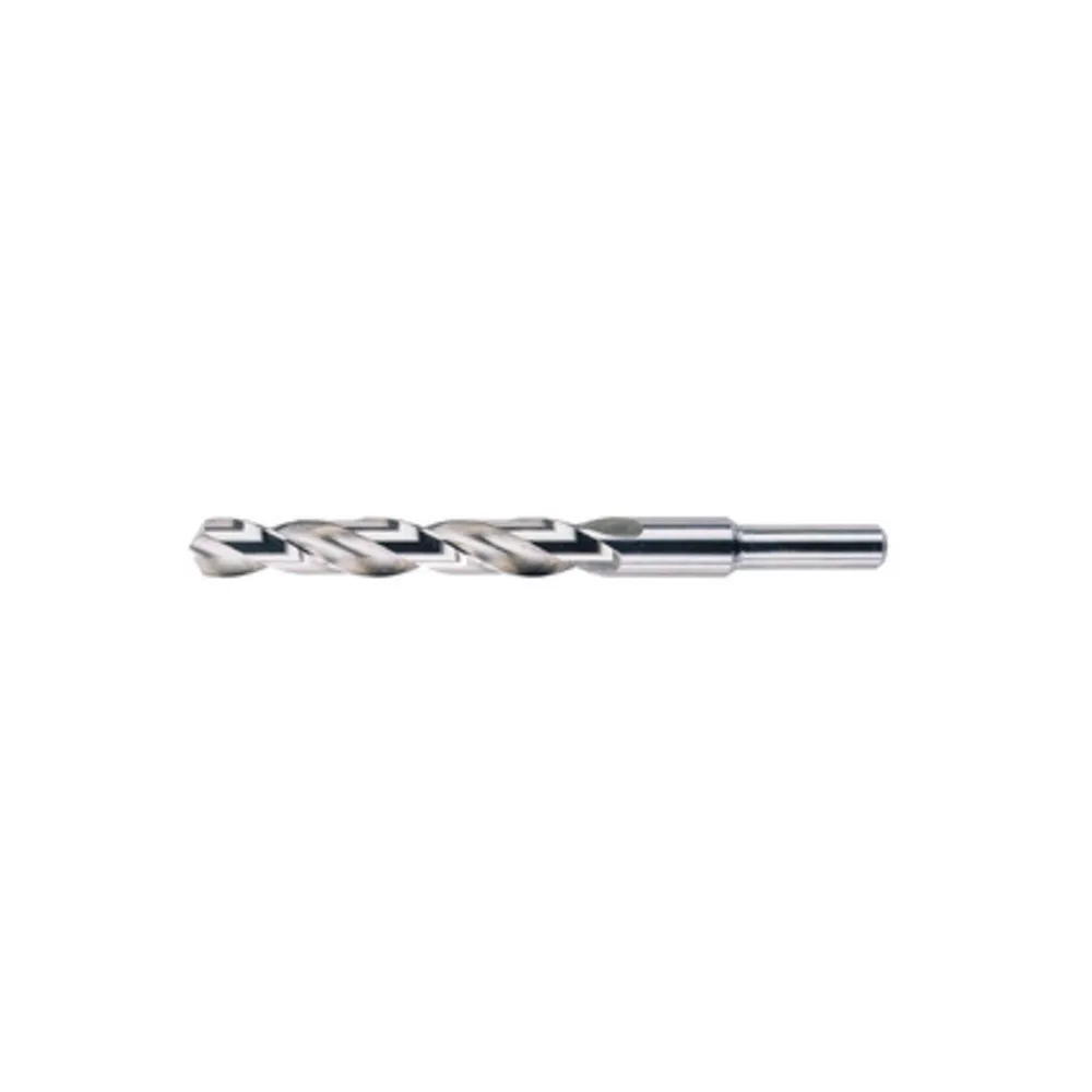 PUNTA HSS RETTIFICATA CODOLO 13 MM D 15 PUNTA HSS RETTIFICATA CODOLO 13 MM D 15