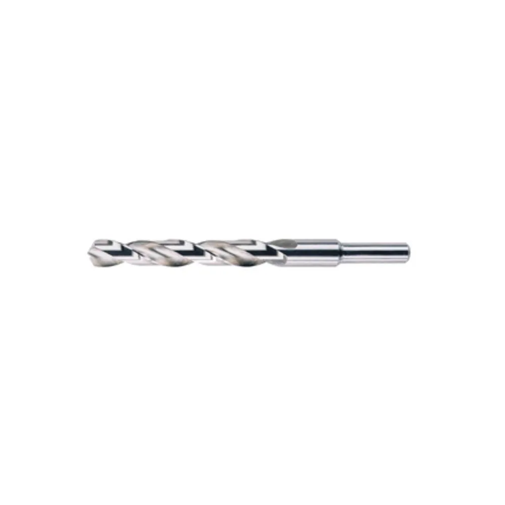 PUNTA HSS RETTIFICATA CODOLO 13 MM D 16 PUNTA HSS RETTIFICATA CODOLO 13 MM D 16