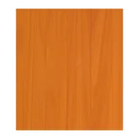 DOGA RIVESTIMENTO PVC CM 260X10X1 DOUGLAS (10