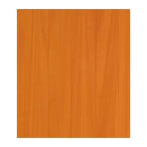 DOGA RIVESTIMENTO PVC CM 260X10X1 DOUGLAS (10