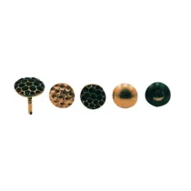 SC BULLETTA TAPPEZZIERE MARTELLATA OTT 10 MM 50 PZ (5