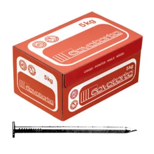 CHIODI TESTA PIANA 10X22  CAVATORTA (5