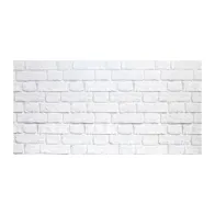 PANNELLO DECORATIVO 50X100 CM DIS. MURO (15