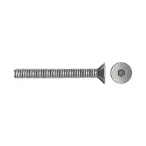 VITI P/BUSSOLA T.S.P. ESAG INCAS  6MA BRUN 30 MM (200
