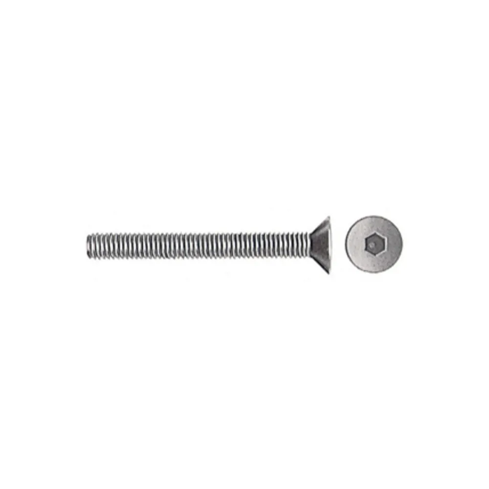 VITI P/BUSSOLA T.S.P. ESAG INCAS  6MA BRUN 30 MM (200