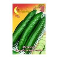 SEMI ORTO CETRIOLO VERDE (10